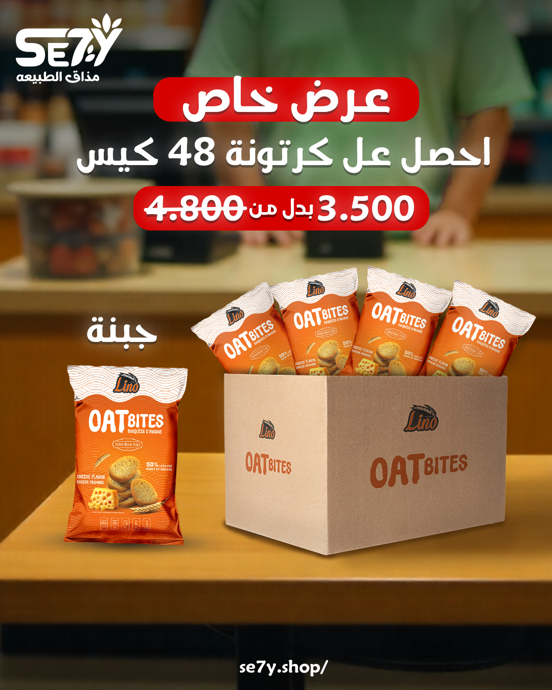 Carton of toast (48 pieces)